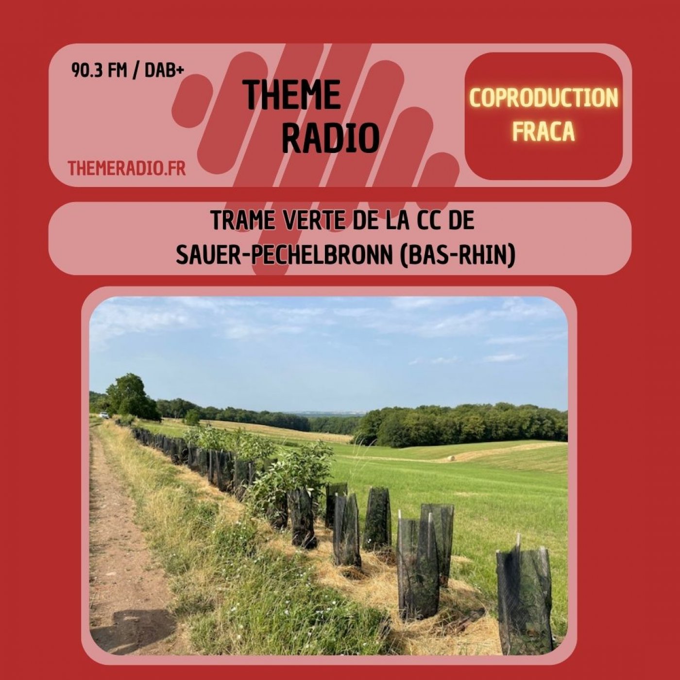 FRACA PACTE DES RURALITES n°4 - Trame verte de la CC de Sauer-Pechelbronn (Bas-Rhin)