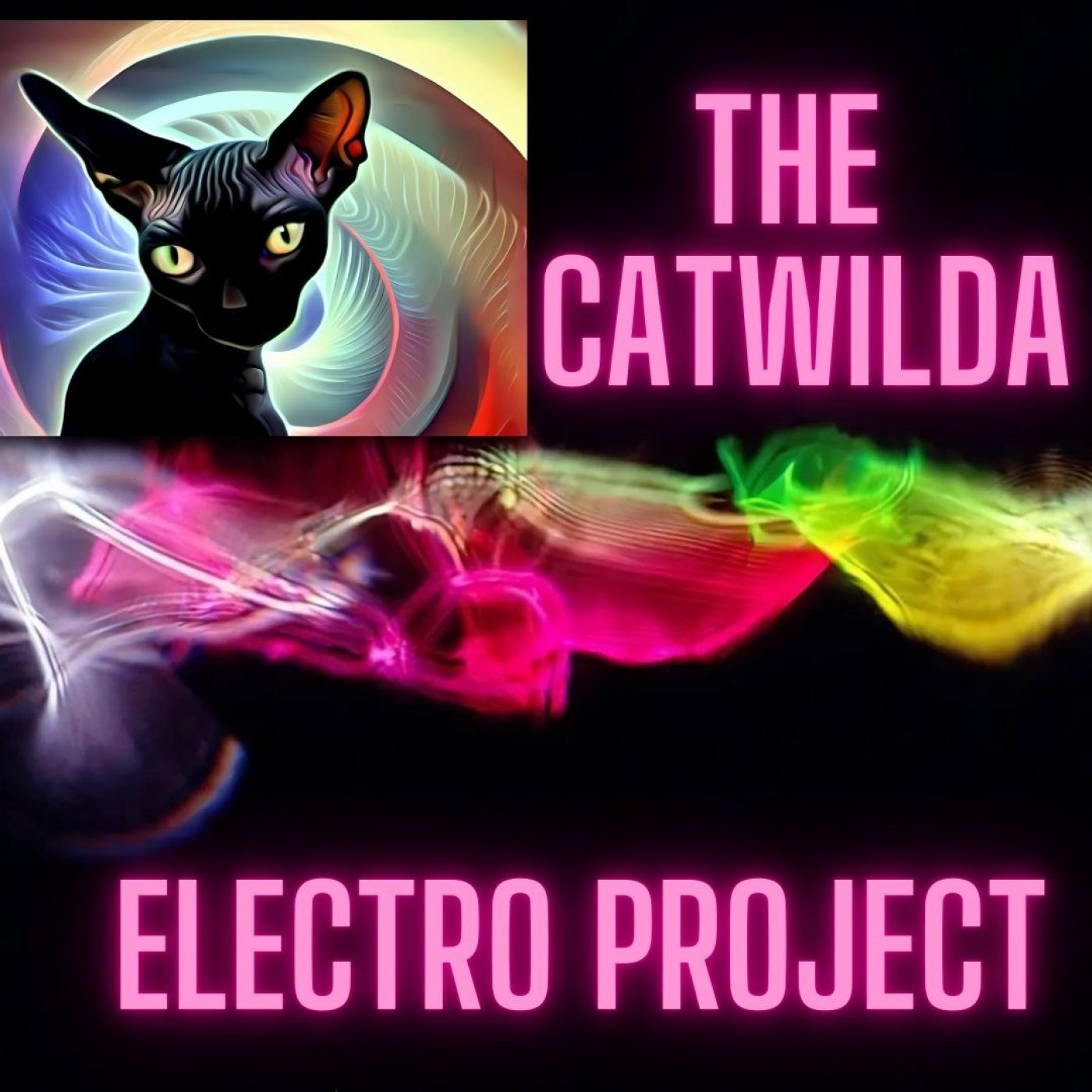  The Catwilda ElectroProject S1 E6